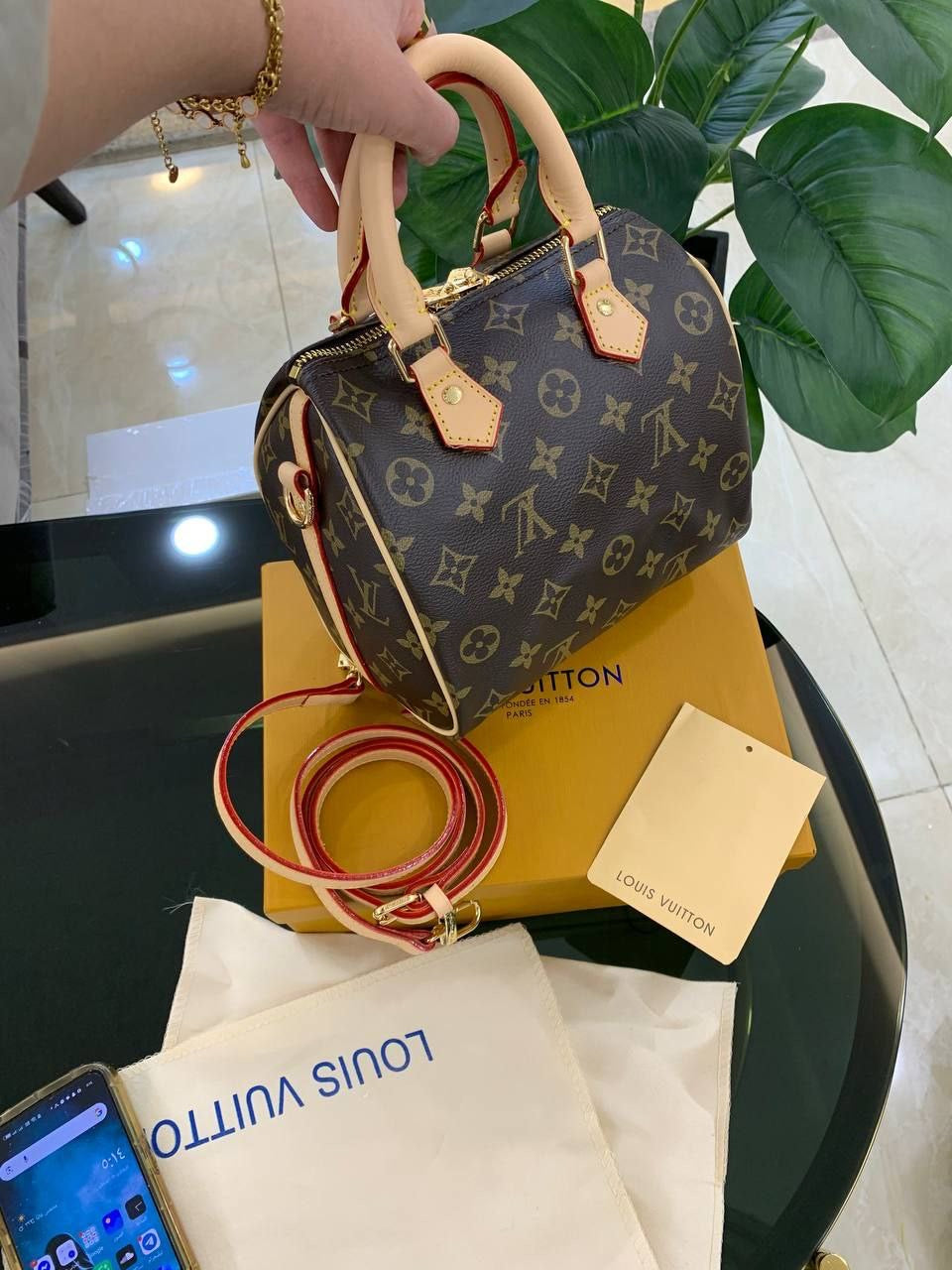 Lv lux bag mr