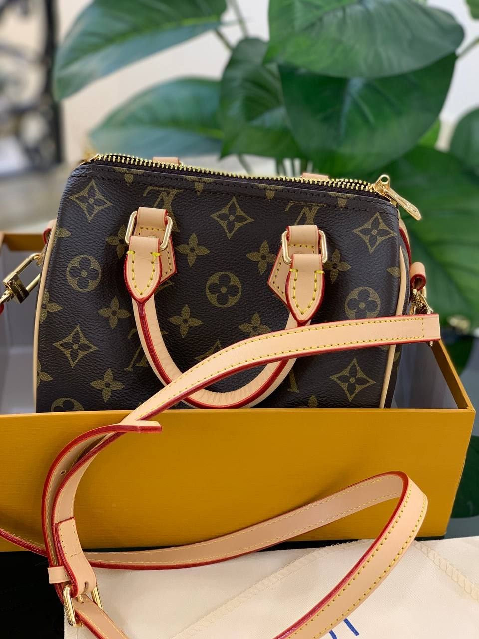Lv lux bag mr